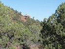 photo thumbnail #15
