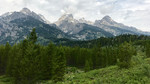 photo thumbnail #5