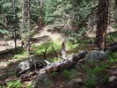 photo thumbnail #3