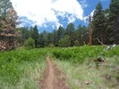 photo thumbnail #5