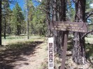photo thumbnail #11