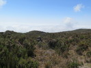 photo thumbnail #15