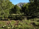 photo thumbnail #6