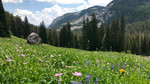 photo thumbnail #1