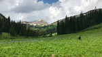 photo thumbnail #2