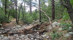 photo thumbnail #8