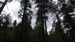 photo thumbnail #13