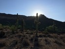 photo thumbnail #1