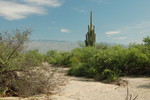 photo thumbnail #9