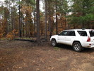 photo thumbnail #3