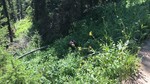 photo thumbnail #8