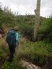 photo thumbnail #8