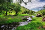 photo thumbnail #4
