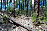 photo thumbnail #7