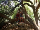 photo thumbnail #4