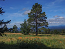 photo thumbnail #14