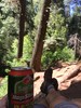 photo thumbnail #2