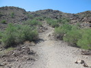 photo thumbnail #4