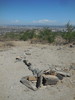 photo thumbnail #8