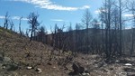 photo thumbnail #5