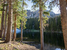 photo thumbnail #6
