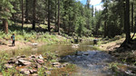 photo thumbnail #11