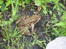 photo thumbnail #9