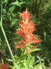 photo thumbnail #15