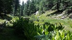 photo thumbnail #11