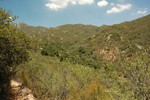 photo thumbnail #11