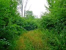 photo thumbnail #9