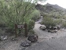 photo thumbnail #15