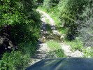 photo thumbnail #9