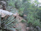 photo thumbnail #1