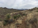 photo thumbnail #3