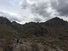 photo thumbnail #3