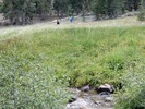 photo thumbnail #2