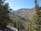 photo thumbnail #8