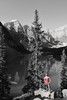 photo thumbnail #3
