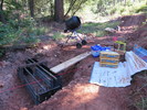 photo thumbnail #1