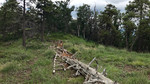 photo thumbnail #5
