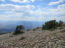 photo thumbnail #15