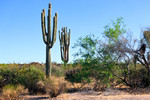 photo thumbnail #9