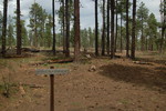 photo thumbnail #13