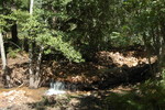 photo thumbnail #9