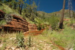 photo thumbnail #12