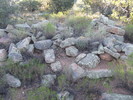 photo thumbnail #4