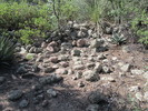 photo thumbnail #11
