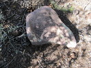 photo thumbnail #14