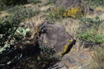 photo thumbnail #12